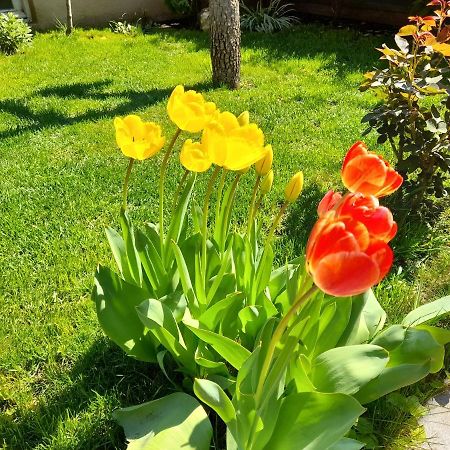 Green Garden Τυφλίδα Εξωτερικό φωτογραφία