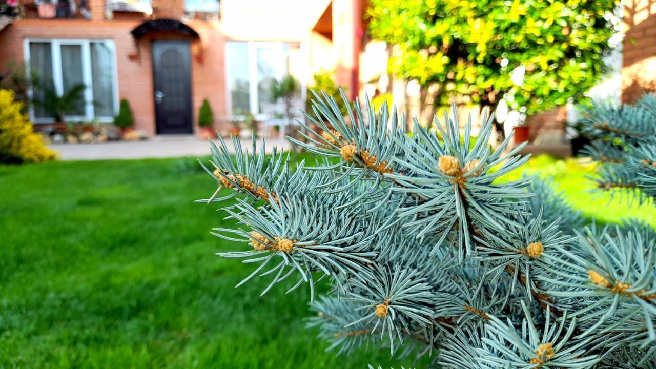 Green Garden Τυφλίδα Εξωτερικό φωτογραφία