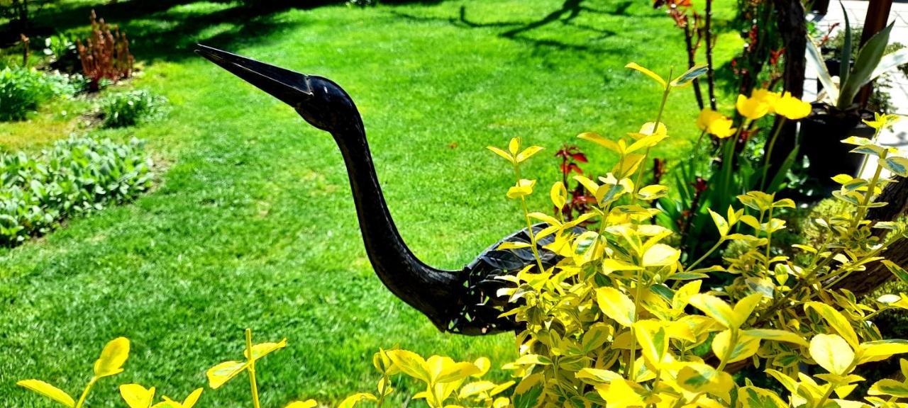 Green Garden Τυφλίδα Εξωτερικό φωτογραφία