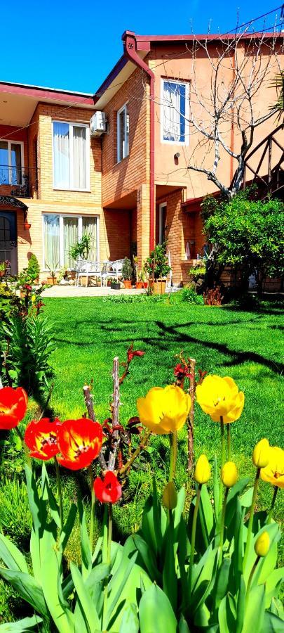 Green Garden Τυφλίδα Εξωτερικό φωτογραφία