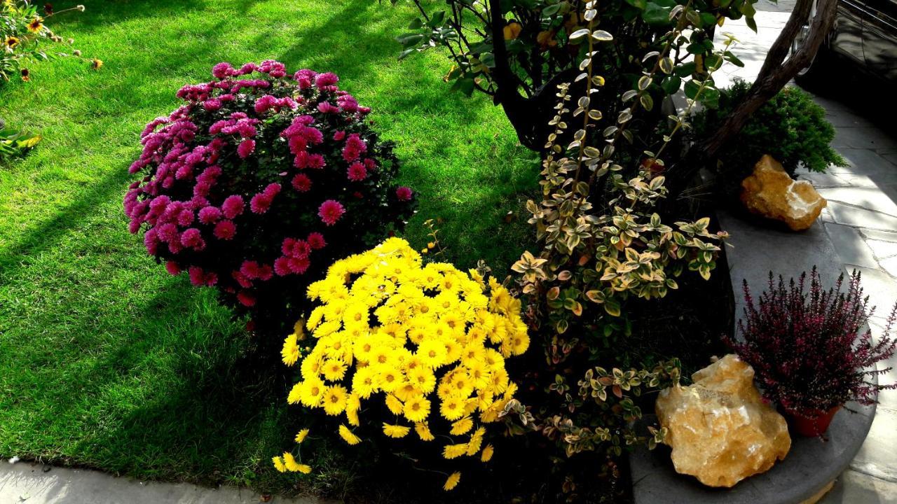 Green Garden Τυφλίδα Εξωτερικό φωτογραφία