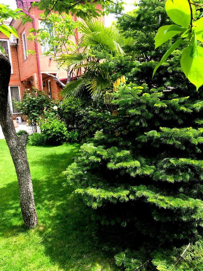 Green Garden Τυφλίδα Εξωτερικό φωτογραφία