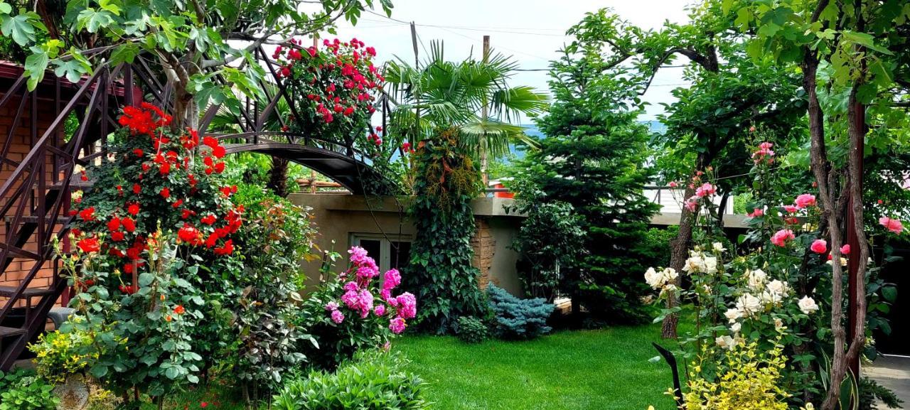 Green Garden Τυφλίδα Εξωτερικό φωτογραφία