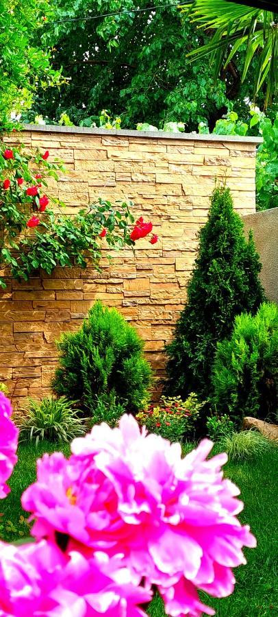 Green Garden Τυφλίδα Εξωτερικό φωτογραφία